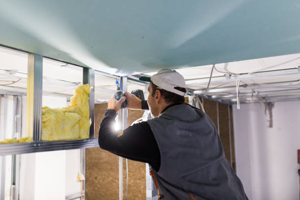 Best Spray Foam Insulation in Seadrift, TX