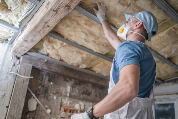 Best Insulation for Specific Applications in Seadrift, TX