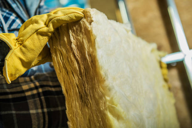Types of Insulation We Offer in Seadrift, TX
