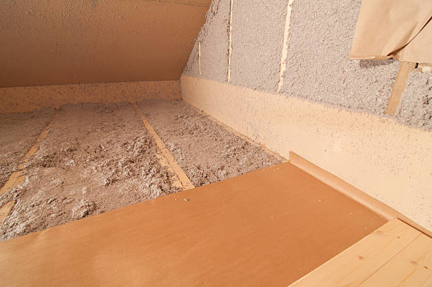 Best Eco-Friendly Insulation in Seadrift, TX